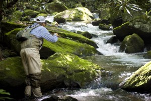 Fly_fishing_headwater_streams Louis Cahill Photography
