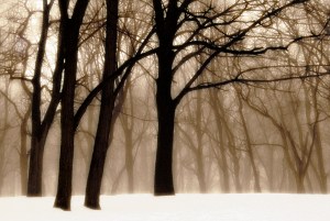 Fairmont Park, Philadelphia Past-Dreams-