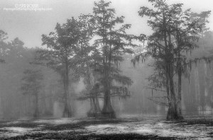 © Ester Rogers Photography