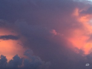 © cjdraper photography