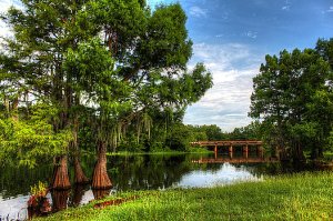 © Ester Rogers  Photography