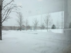 IMG_3556.JPG